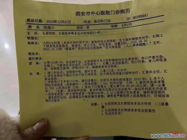 4岁男童耳朵被恶犬咬掉