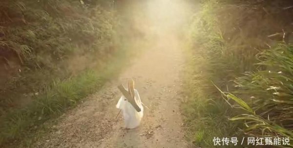 云开体育展现出一个副帮主的实力-开云kaiyun登录入口登录APP下载「中国」官方网站