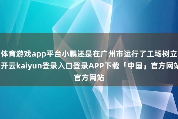 体育游戏app平台小鹏还是在广州市运行了工场树立-开云kaiyun登录入口登录APP下载「中国」官方网站