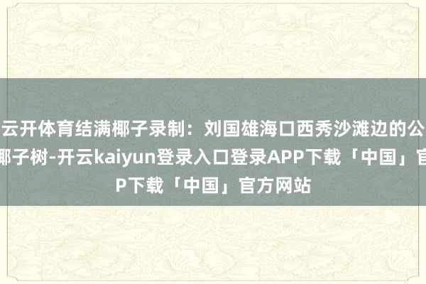 云开体育结满椰子录制:刘国雄海口西秀沙滩边的公路种满椰子树-开云kaiyun登录入口登录APP下载「中国」官方网站