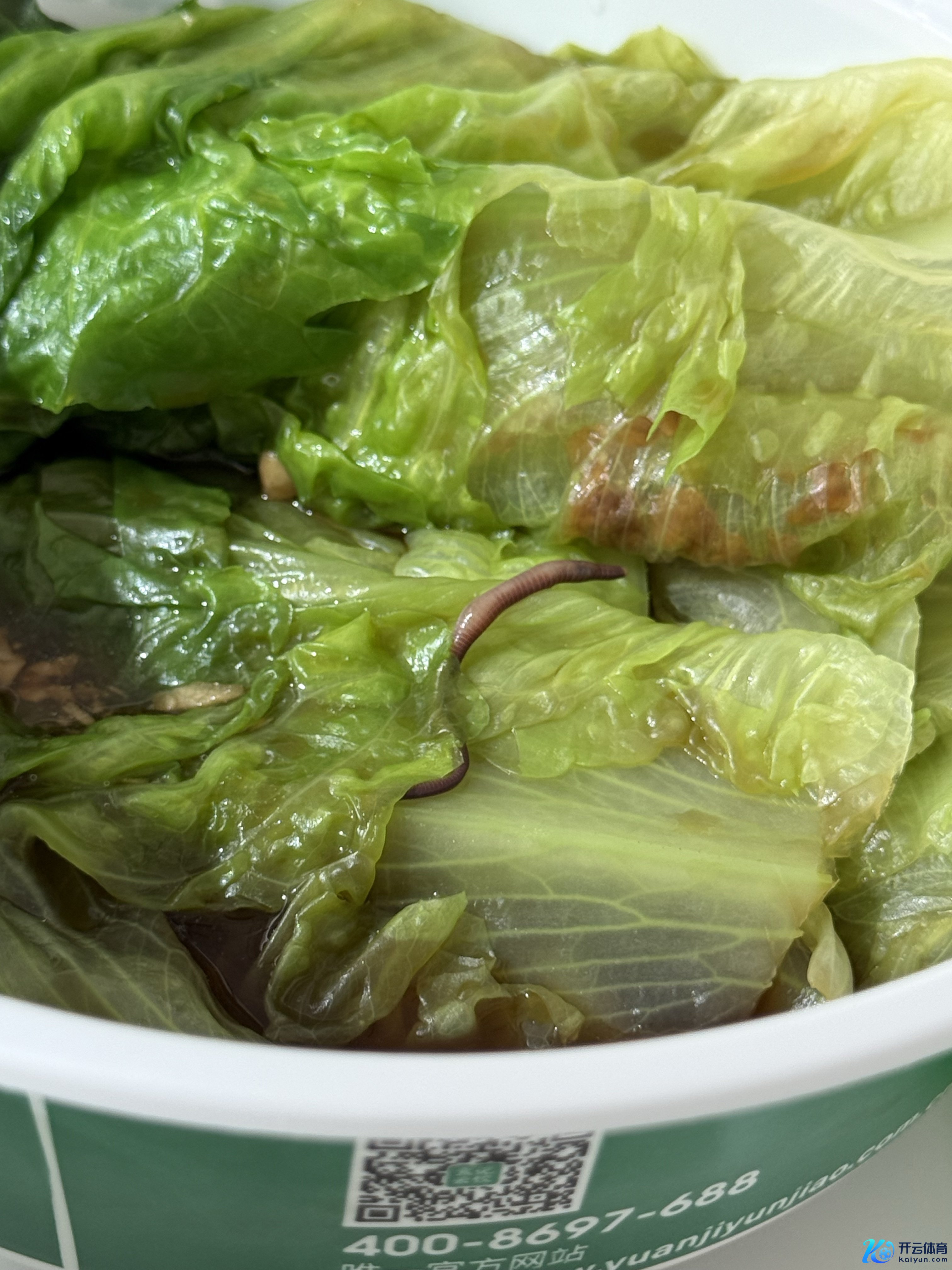 另别称消费者在酬酢媒体中发布的我方在袁记云饺吃出的蚯蚓。受访者供图