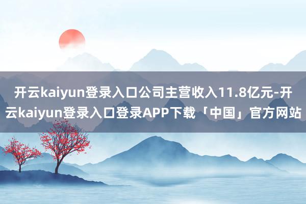 开云kaiyun登录入口公司主营收入11.8亿元-开云kaiyun登录入口登录APP下载「中国」官方网站