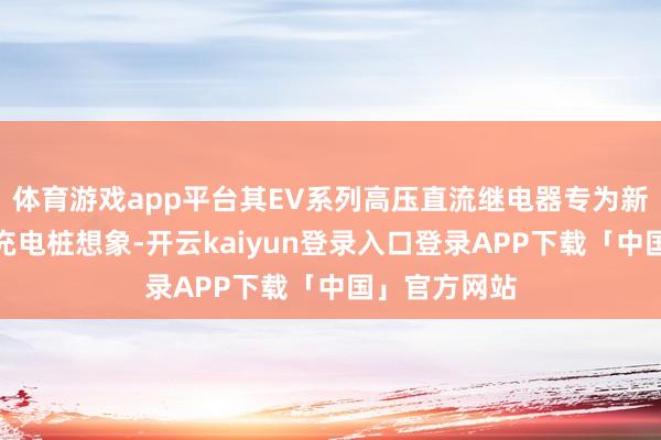 体育游戏app平台其EV系列高压直流继电器专为新动力汽车及充电桩想象-开云kaiyun登录入口登录APP下载「中国」官方网站